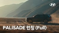  Hyundai PALISADE: ,   