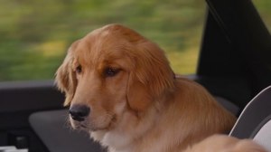 ����� Subaru Solterra EV - ����������� �������, ��������� ����� ��������