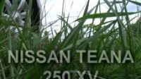 ³ - Nissan Teana  