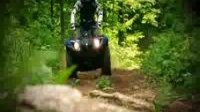³  Yamaha Grizzly 450