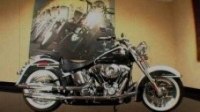 ³  Softail Deluxe FLSTN ( )