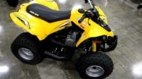 ³  Can-Am DS