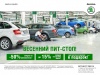 Сервисная акция ВЕСЕННИЙ ПИТ-СТОП от SKODA!