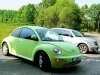 - Volkswagen Beetle:   