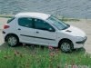 Тест-драйв Peugeot 206: Купить львенка