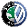 Volkswagen+Skoda