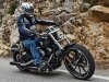 - Harley-Davidson Softail:   
