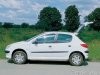 Купить львенка (Peugeot 206) - фото 1