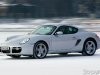 Наедине с хищником (Porsche Cayman) - фото 5