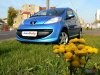 Пучеглазая стрекоза (Peugeot 107) - фото 7