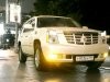 Luxury - (Cadillac Escalade) -  7