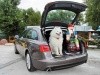 Люди и багаж – в бизнес-класс! (Audi A6) - фото 2