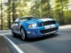 Средство от скуки (Ford Mustang) - фото 1