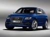   (Audi Q5) -  44