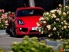 Держит дорогу как Бог (Porsche Cayman) - фото 8