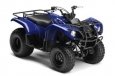 Yamaha Grizzly 125