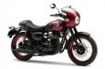 Kawasaki W800 Cafe Style 