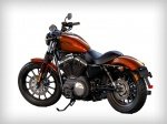  Harley-Davidson Sportster Iron XL 883N 1