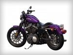  Harley-Davidson Sportster Iron XL 883N 5