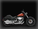  Harley-Davidson Softail Blackline FXS 2