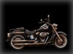  Harley-Davidson Softail Deluxe FLSTN 1