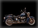  Harley-Davidson Softail Deluxe FLSTN 2