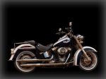  Harley-Davidson Softail Deluxe FLSTN 4