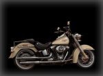  Harley-Davidson Softail Deluxe FLSTN 7