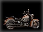  Harley-Davidson Softail Deluxe FLSTN 9