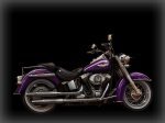  Harley-Davidson Softail Deluxe FLSTN 10