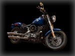  Harley-Davidson Softail Slim FLS 2
