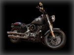  Harley-Davidson Softail Slim FLS 4