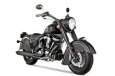 Indian Chief Dark Horse
