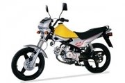 Jawa 50 Robby