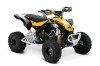 Can-Am DS 450 X xc