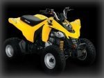  Can-Am DS 250 2