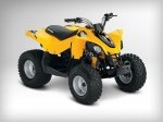  Can-Am DS 1