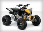  Can-Am DS X 1