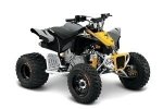 Can-Am DS X