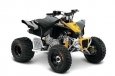 Can-Am DS X