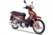 Lifan LF110-11H (Showing 110)