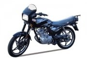 Viper ZS150J/ZS125A
