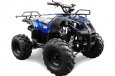 Viper ATV110/11