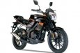 Bashan BS125/150/250-6