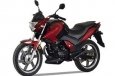 Bashan BS150-13 (Pilot 250)
