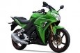 Bashan BS200/250GS-3