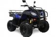 Bashan BS150ATVU-15
