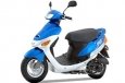  Dolphin 50