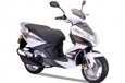  Zebra 150