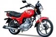 SkyMoto Bird 125/150